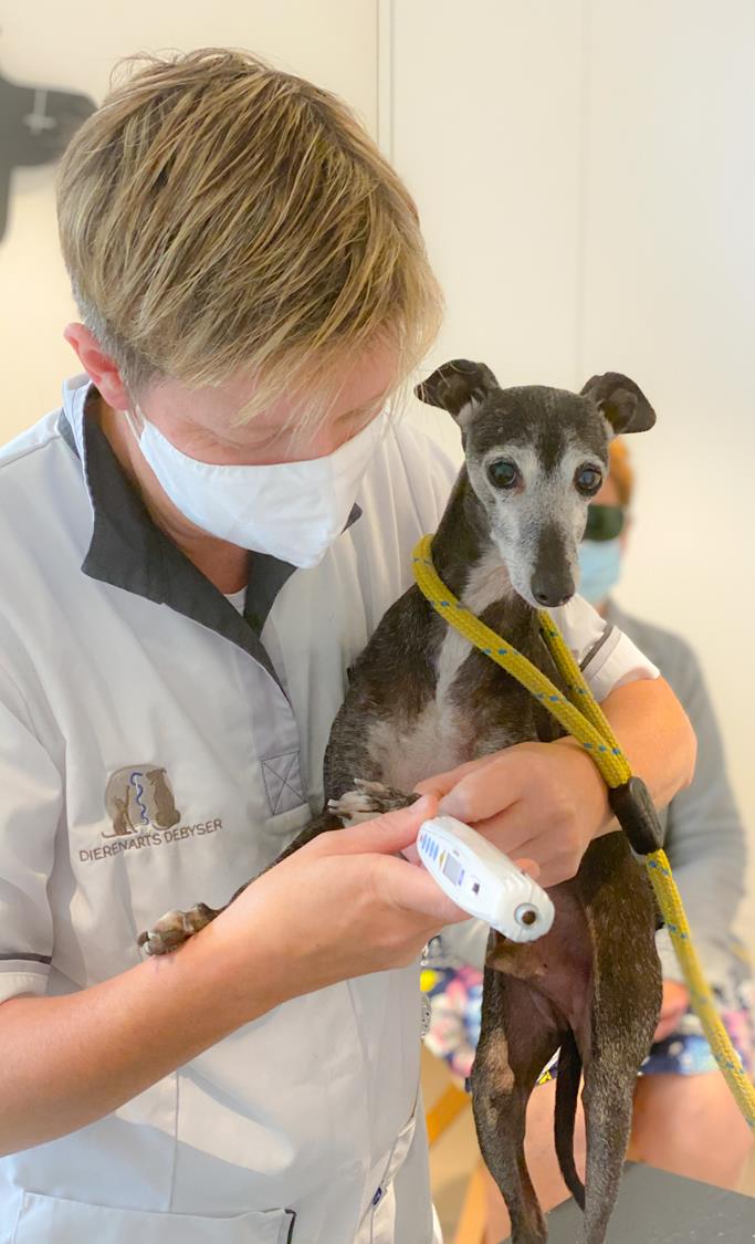 behandeling met laser acupunctuur behandeling met laser acupunctuur