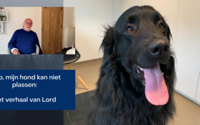 Help, mijn hond kan niet plassen (Lord – Brugge)